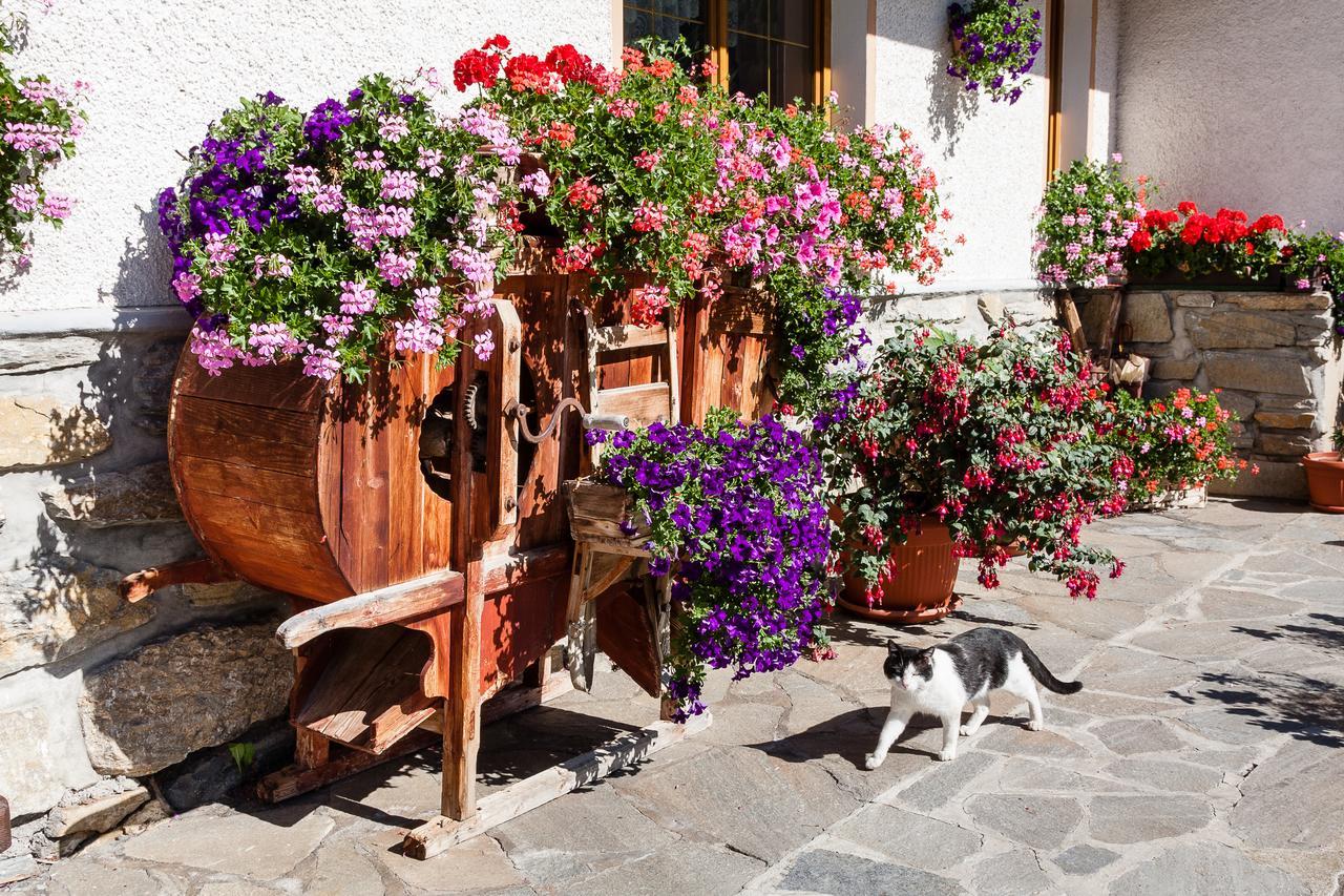 Graushof Hotel Val di Vizze Eksteriør billede
